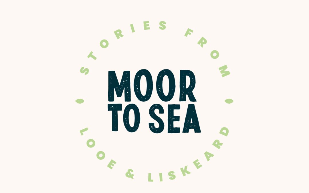 Moor to Sea