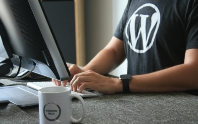 Why Local Businesses in Cornwall Should Invest in Custom WordPress Sites