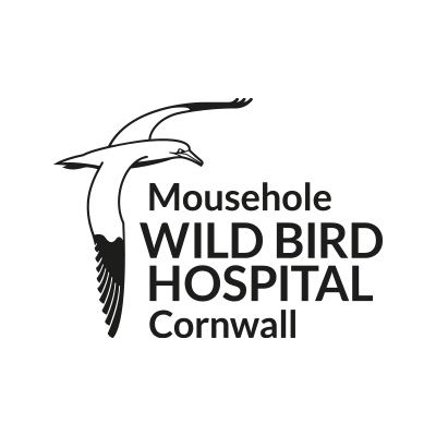 unifu-client_0001_Mousehole-Hospital